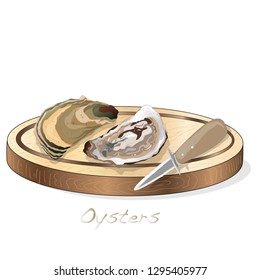Fresh opened oyster vectorv images set on plate / dish isolated on white background.
