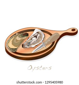Fresh opened oyster vectorv images set on plate / dish isolated on white background.