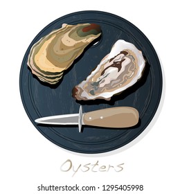 Fresh opened oyster vectorv images set on plate / dish isolated on white background.