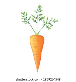 Fresh Orange Carrot With Green Leaves, Health Food, Vector Icon