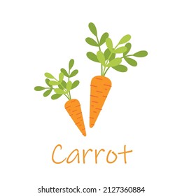 Fresh orange carrot with green leaves, health food, vector icon