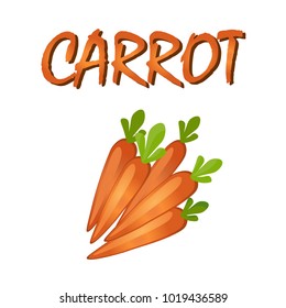 Fresh orange carrot icon isolated on white background.