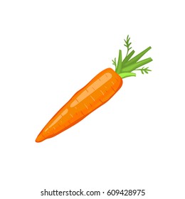 Fresh orange carrot icon isolated on white background.  