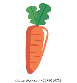 Fresh orange carrot on white