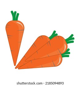 fresh orange carrot vegetable vector rabbit food