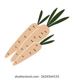 Fresh orange carrots with green leaves, organic root vegetable, farm harvest crop, healthy cooking ingredient, raw garden produce, natural food illustration, simple botanical design. Vector
