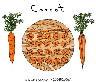 Fresh Orange Carrots with Leaves on a Cutting Wooden Board. Different Cuts of Carrot. Heart Shape Slices. Ripe Vegetables. Salad Ingredient. Realistic Hand Drawn Illustration. Savoyar Doodle Style.