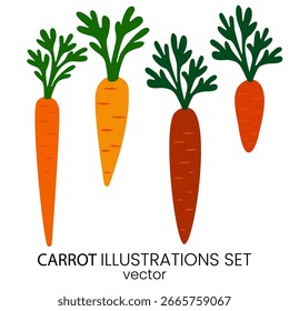 Conjunto de Ilustración vectorial de zanahorias de naranja fresca