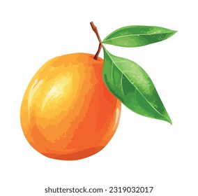 Fresh orange citrus fruit, ripe and juicy icon isolated