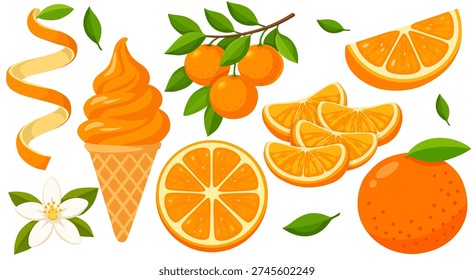 Fresh Orange Collection Whole Slice Segment Zest Blossom Citrus Fruit Set
