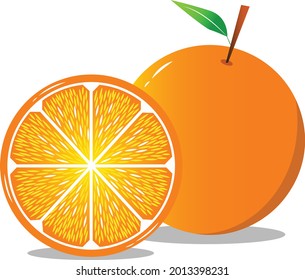 fresh orange color orange design vector