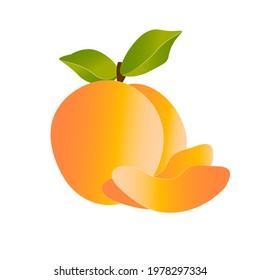 Fresh orange colored peach fruit isolated in white background.
