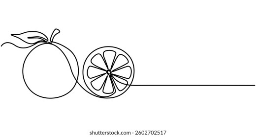  Fresh Orange Continuous Line Editable Stroke Line, Orange Vector  Icon - Simple Thin Icon, Premium Quality Design Element, orange fruit continuous one line drawing, One continuous. 