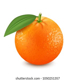 Fresh Orange Fruit With Green Leaf. 3d Realistic Vector Image