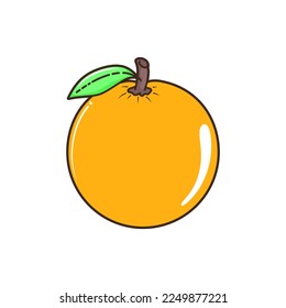 Fresh orange fruit with green leaf vector illustration