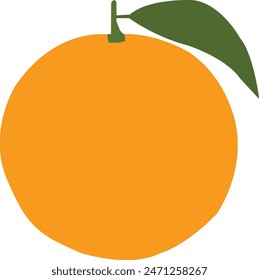 Fresh orange fruit hang on tree branch with green leaves isolated on white background.