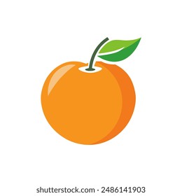 fresh orange fruit healthy food vector illustration template design