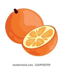 fresh orange fruit healthy icon