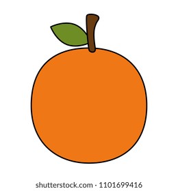 fresh orange fruit icon