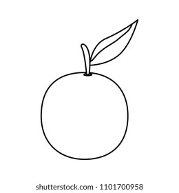 fresh orange fruit icon