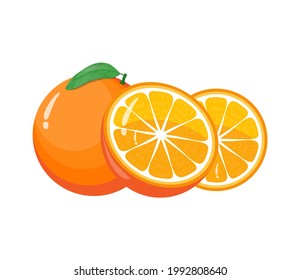 fresh orange fruit illustration vector drawing