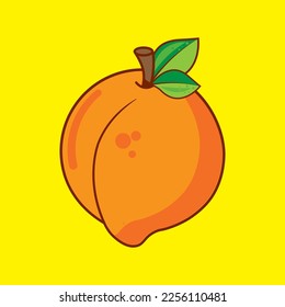fresh orange fruit illustration