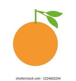 fresh orange fruit isolated icon