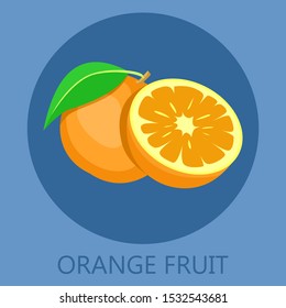 fresh orange. fruit isolated vector illustration.