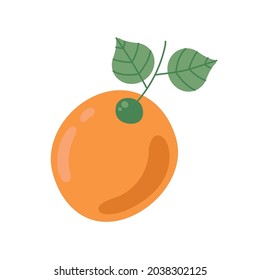 fresh orange fruit and leafs