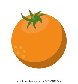 fresh orange fruit nature