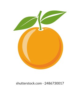 fresh orange fruit nature food vector illustration template design
