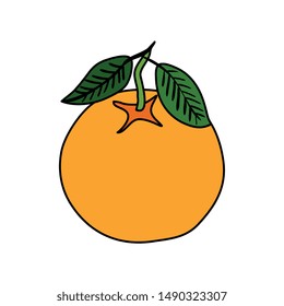 fresh orange fruit nature icon
