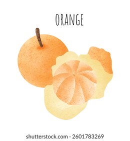 Fresh orange, fruit, orange pulp, water color