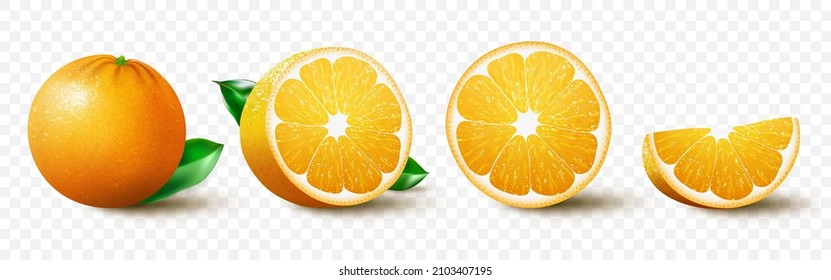 Fresh orange fruit set, juicy orange with leaves, half, slice, and whole fruit, isolated on white background. Realistic 3d vector illustration