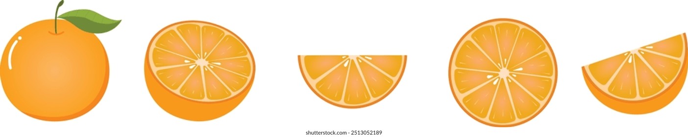 Fresh orange fruit set vector illustrations