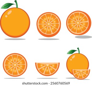 Fresh orange fruit set. Whole orange with leaves, oranges slices and cut orange fruit. Organic fruits for juice or vitamin C healthy food. orange Vector illustration isolated on white background.