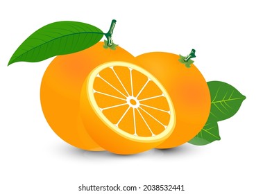 Se ha aislado la fruta fresca de color naranja en un fondo blanco. Diseño de fruta vectorial.