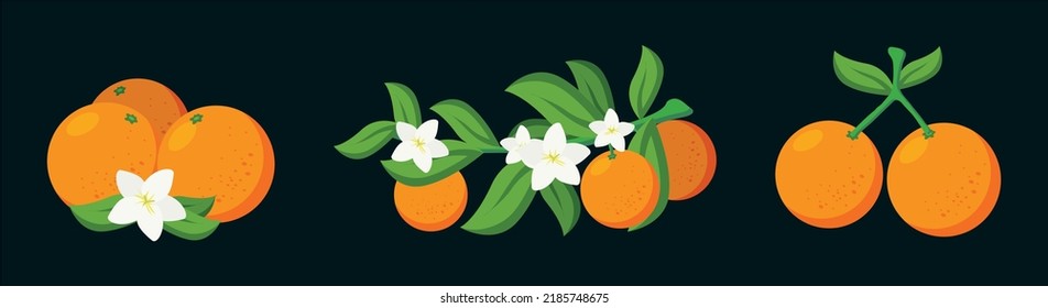 fresh orange fruit with stem illustration