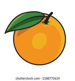 frisch orangefarbene Fruchtvektorgrafik
