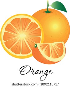 Frische Orangenfrucht, Vektorgrafik. Zitrusarten mit Blättern. Süßsaft, ganz oder in Scheiben geschnitten, Orange für Konfitüre, Saft, Produktetikett, Lebensmittelgeschäft, Laden und Marktdesign. Einzeln auf Weiß