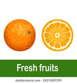Ilustración de vector de fruta de naranja fresca