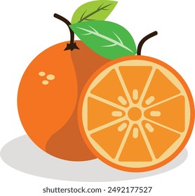 Fresh orange fruit vector ilustration