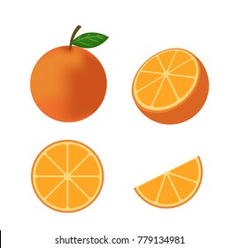 Fresh orange fruit vector isolated set on white background - Vector illustration