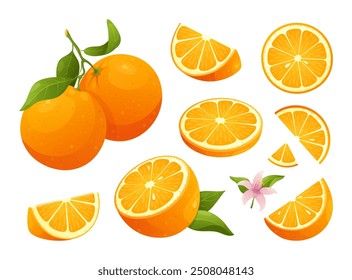 Fresh orange fruit. Vector set of oranges with flowers and leaves, whole citrus, half, cut slice. Summer Citrus tropical fruits for pattern, poster, fabric, web banner, menu. Healthy food. Vitamin C