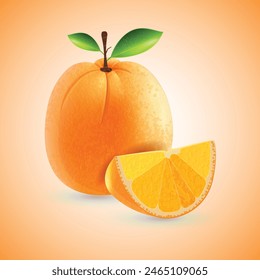 Frutas de naranja fresco con rebanada de Vector de fondo
