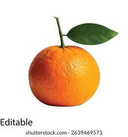 Fresh orange with green leaf vibrant citrus fruit illustration