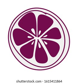 fresh orange half fruit isolated icon vector illustration design