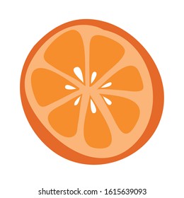 fresh orange half fruit isolated icon vector illustration design