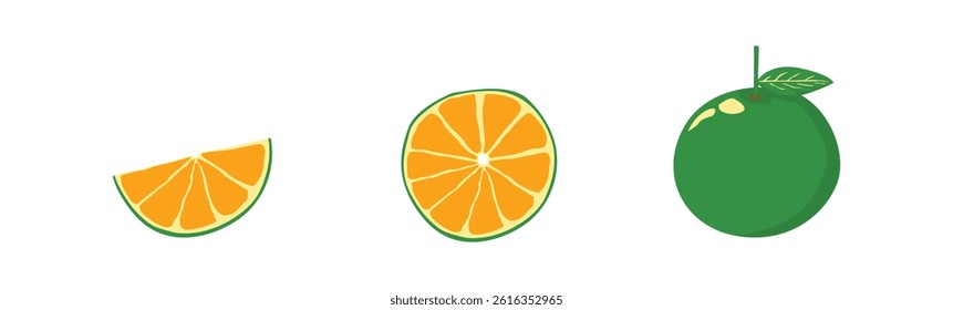 Fresh orange icon vector collection. Orange fruit on white isolated background. Orange vector slice collection