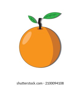 fresh orange illustration on white background